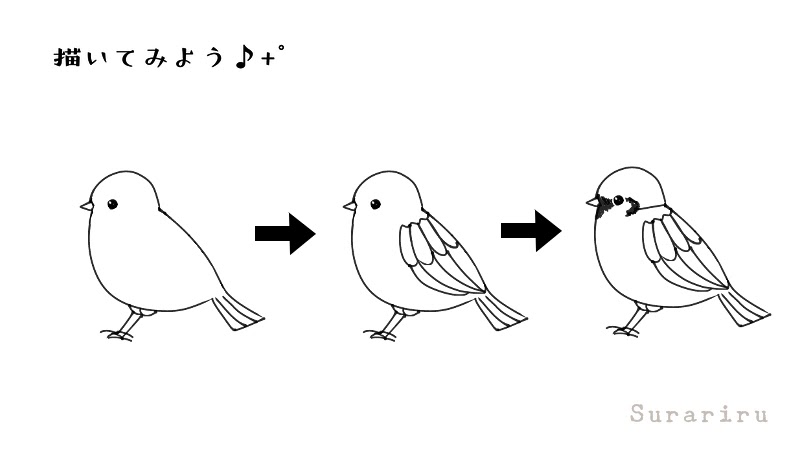 鳥のスズメ（雀）のイラストの簡単な描き方-遠北ほのかのイラストサイト
