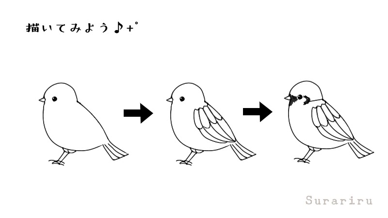 鳥のスズメ 雀 のイラストの簡単な描き方 ボールペンイラストと水彩 遠北ほのかのsurariru