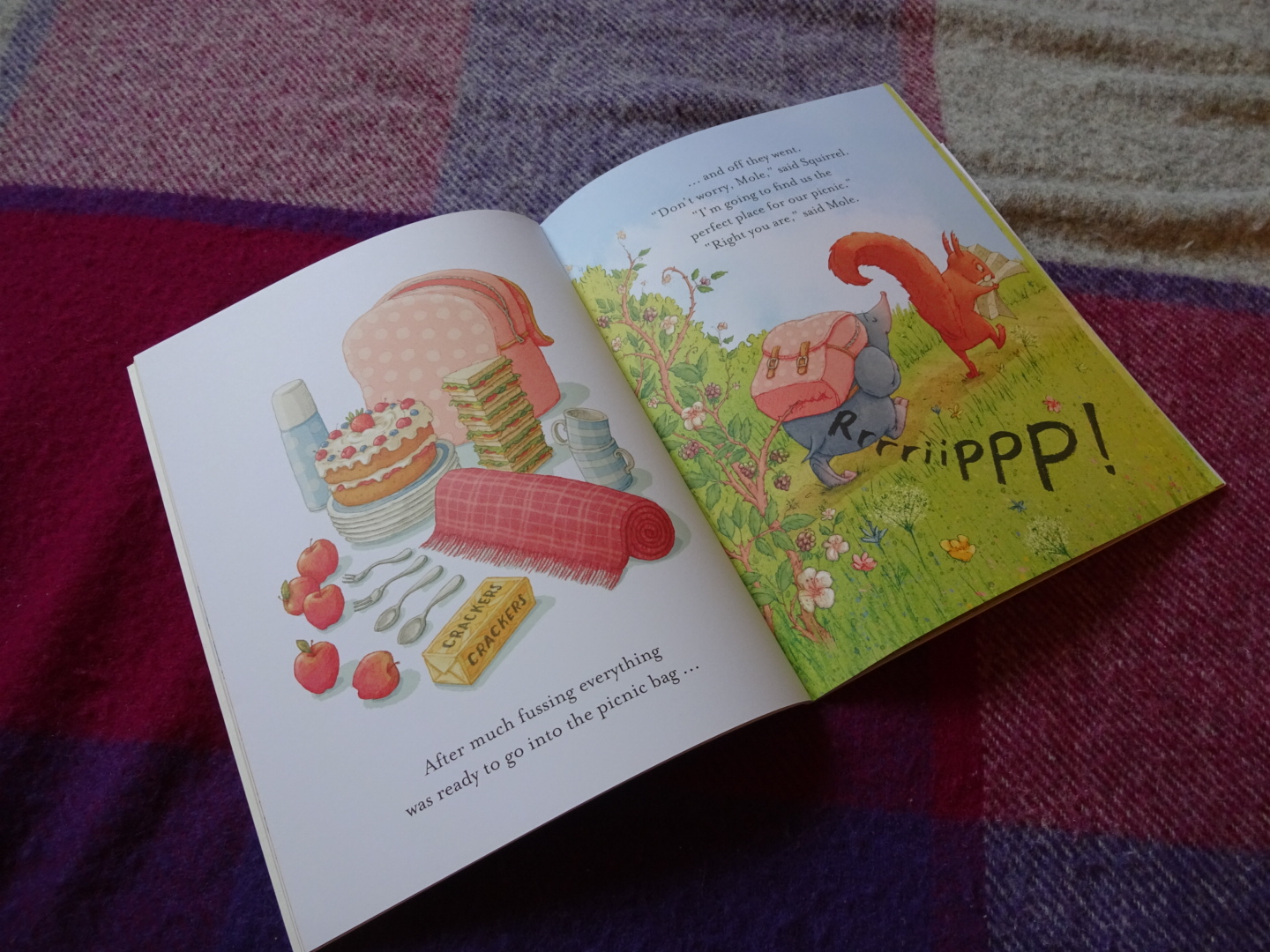 The Perfect Picnic BookBairn