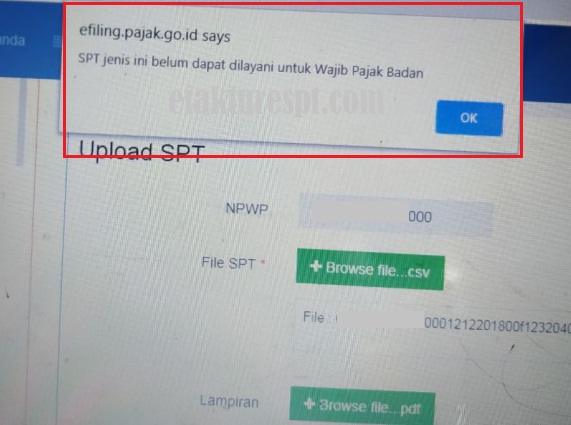 Upload CSV e-Filing Gagal, SPT Jenis Ini Belum Dapat Dilayani