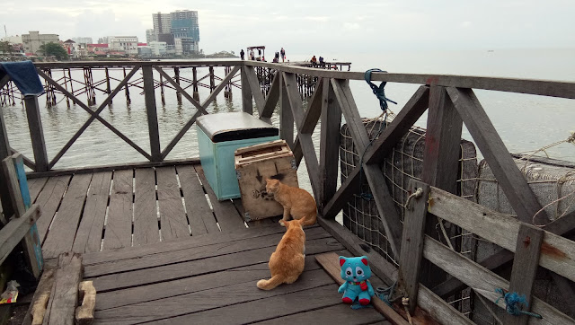 Kampung Atas Air - Dermaga Pasar Klandasan - Kucing The Explorer