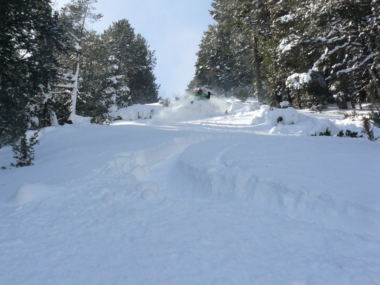 Winter Wonderings Blog of a Ski Instructor How to ski powder