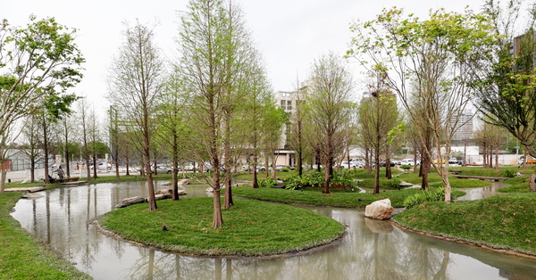 台中南屯兼六園,惠宇建設綠美化秘境,落羽松森林、小橋流水 台中南屯兼六園,惠宇建設綠美化秘境,落羽松森林、小橋流水