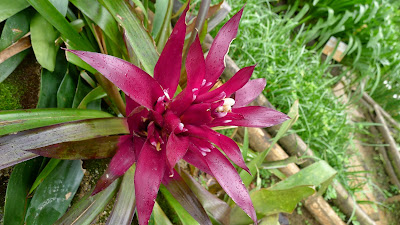 P1040584 Travel Around The World: Berjaya Hills