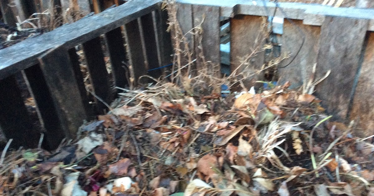 The Meditative Gardener Bear in the Compost Pile
