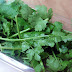 Cilantro Removes 80% of Heavy Metals from the Body within 42 Days. Here is What You Need to Do