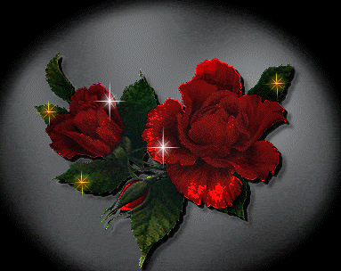 Red Rose Animated Photos HD Wallpapers