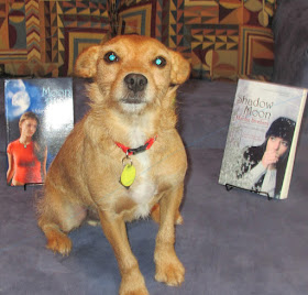 Auggie in front of books by his mum, Marilee Brothers