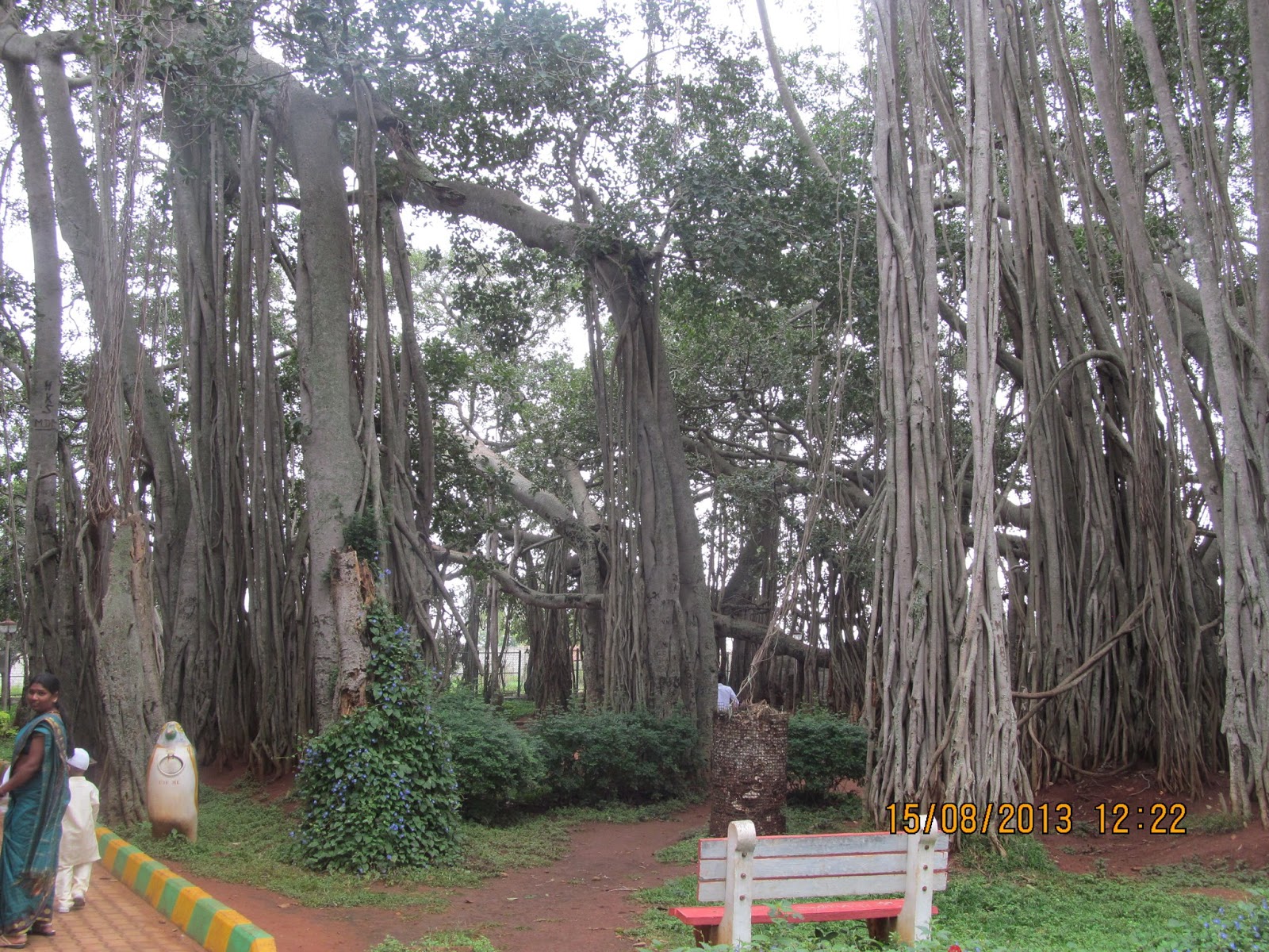 nrameshrao: Dodda Alada Mara ( Tree )