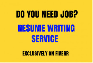 juliedav77 best resume writer on fiverr