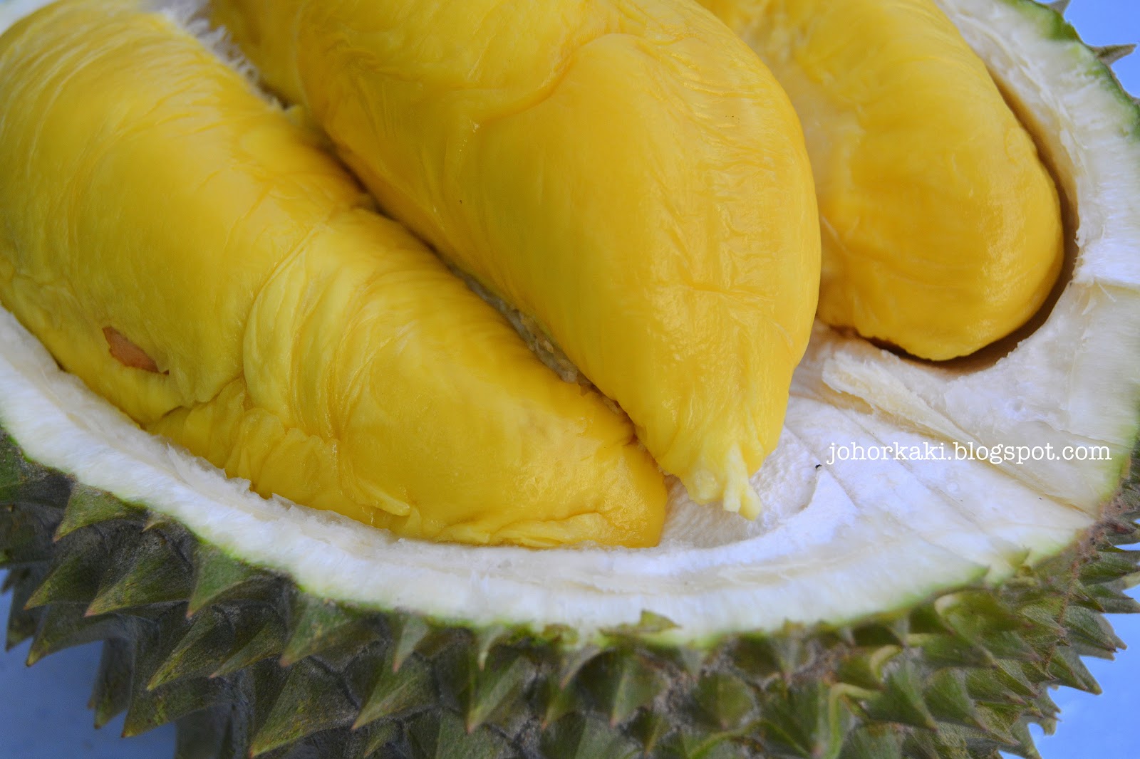 Durian musang king gambar Pokok Durian