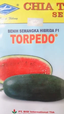 buah keras,tahan simpan,tahan pecah,Daging merah, tahan angkut, cepat panen,rasa manis,murah,inul, Cap Kapal Terbang, Semangka, Torpedo, Gratis