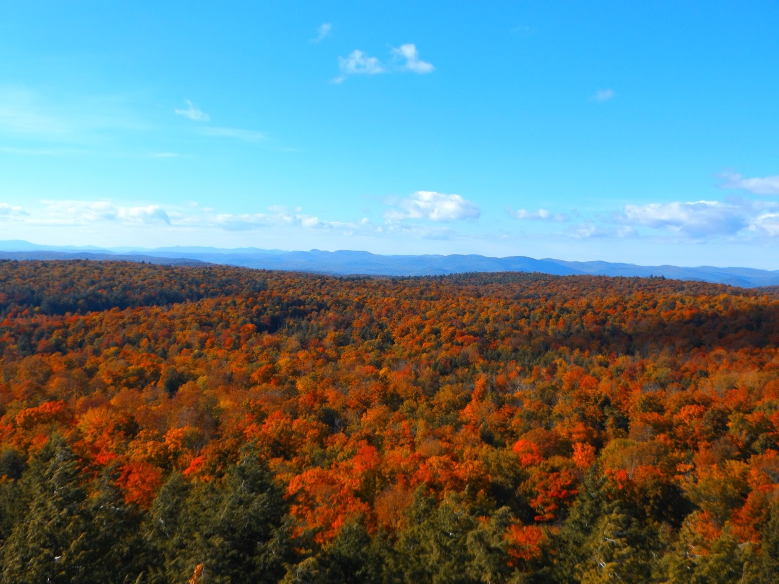 Walking Man 24 7 Spruce Mountain(Southern Adirondacks)