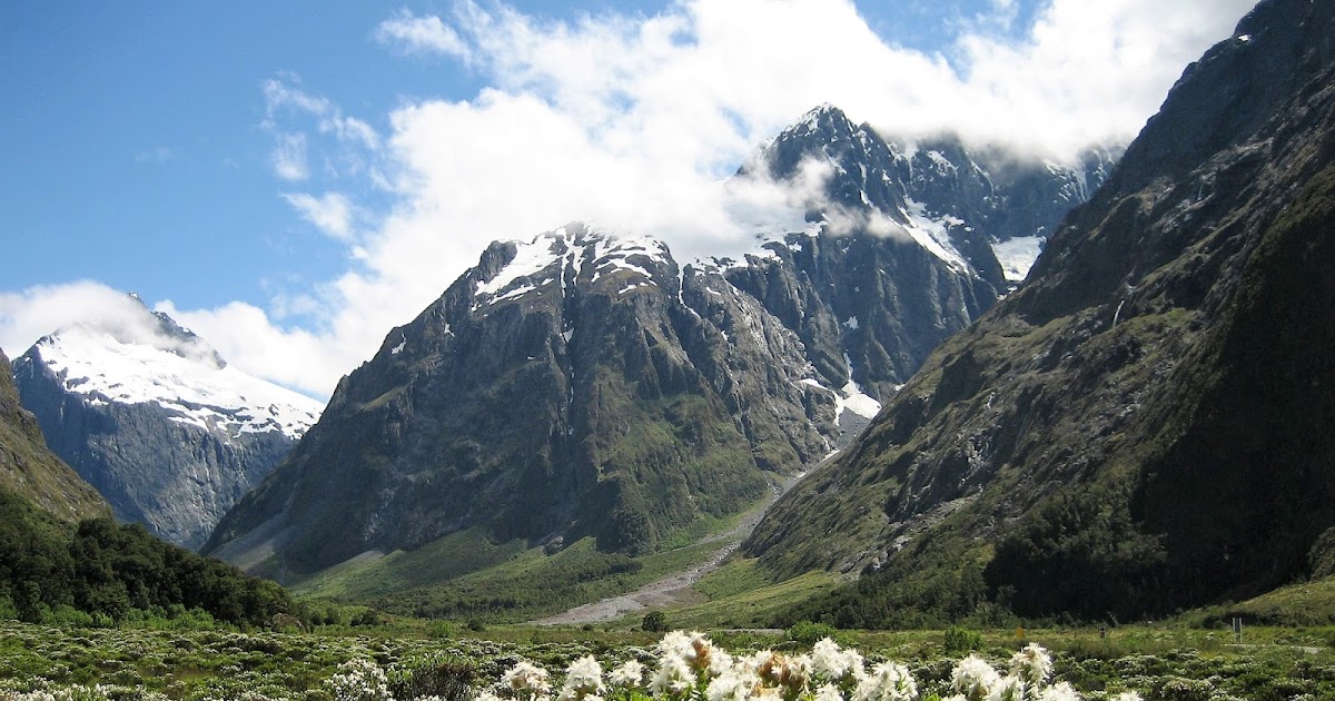 5five5 Fiordland National Park (Te Anau New Zealand)