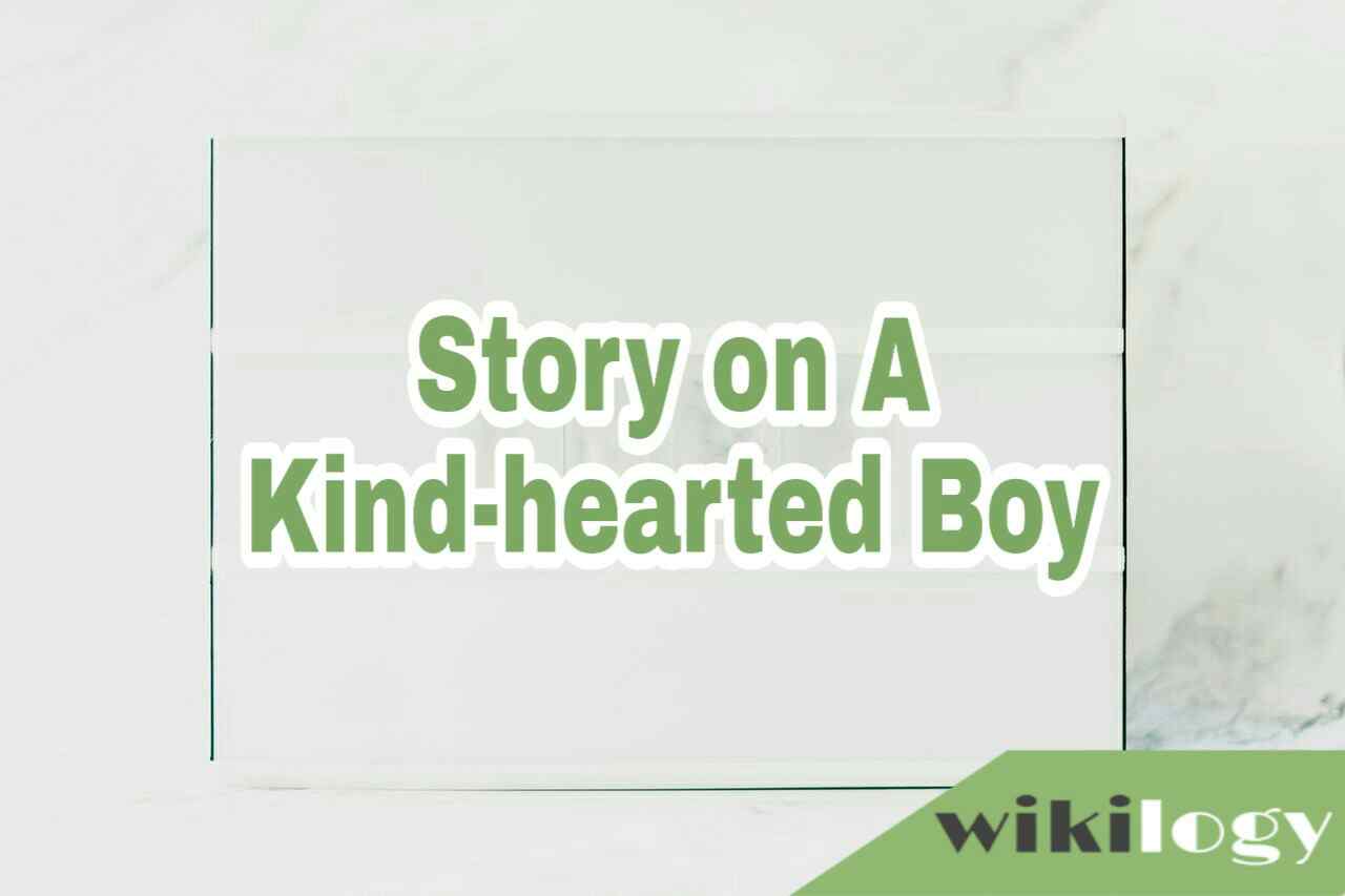 A Kind-hearted Boy Completing Story/ A Dutiful Boy Story