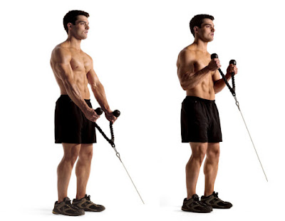 Cable Rope Hammer Curl