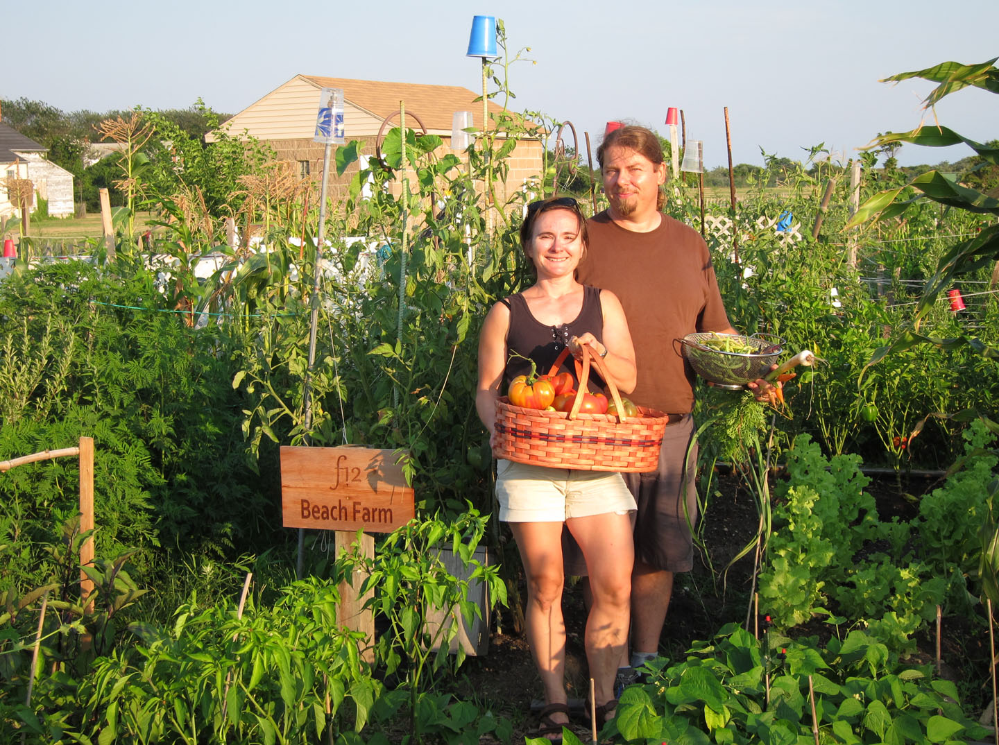 66 Square Feet Plus The Beach Farm And Then To Other Business