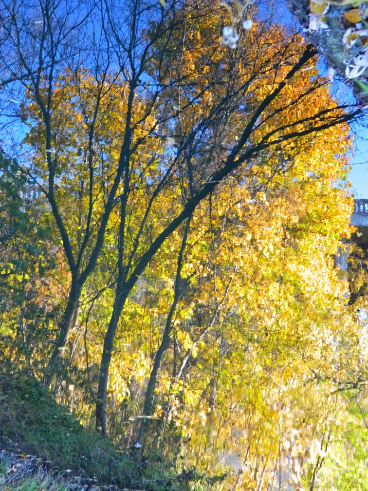 Autumn foliage reflection Taylor Creek Park by garden muses-not another Toronto gardening blog Autumn foliage reflection Taylor Creek Park by garden muses-not another Toronto gardening blog