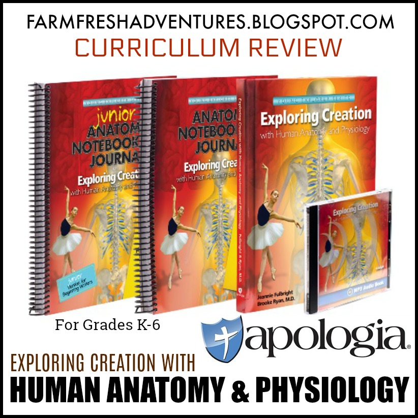 Farm Fresh Adventures Exploring the Human Anatomy and Physiology with