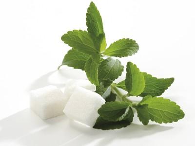 Jenis Obat Untuk Penyakit Turun Berok Jenis Obat Untuk Penyakit Turun Berok