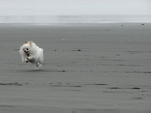 I just Luv the beach!