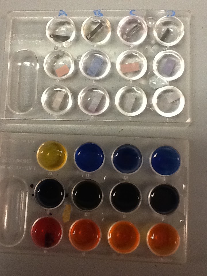 Lab 51B Properties of Acids and Bases