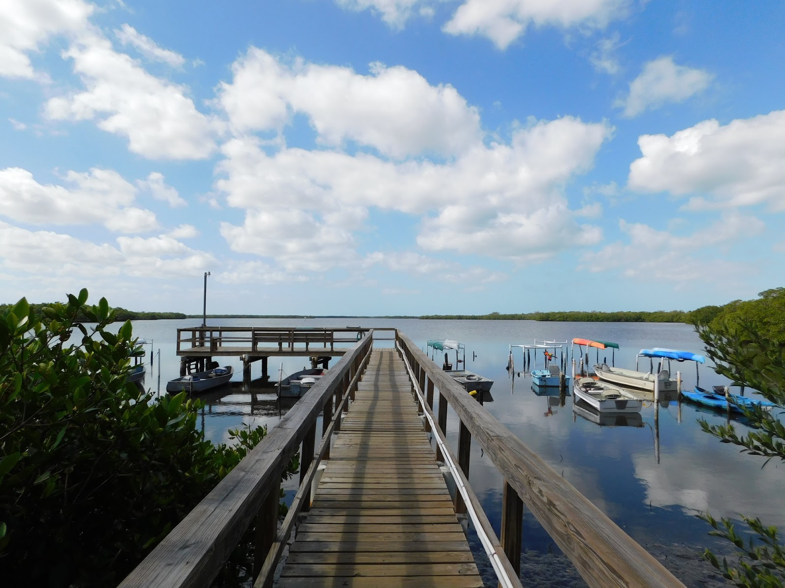 Passport America Site Seers Hawaiian Isles RV Resort, Ruskin, FL