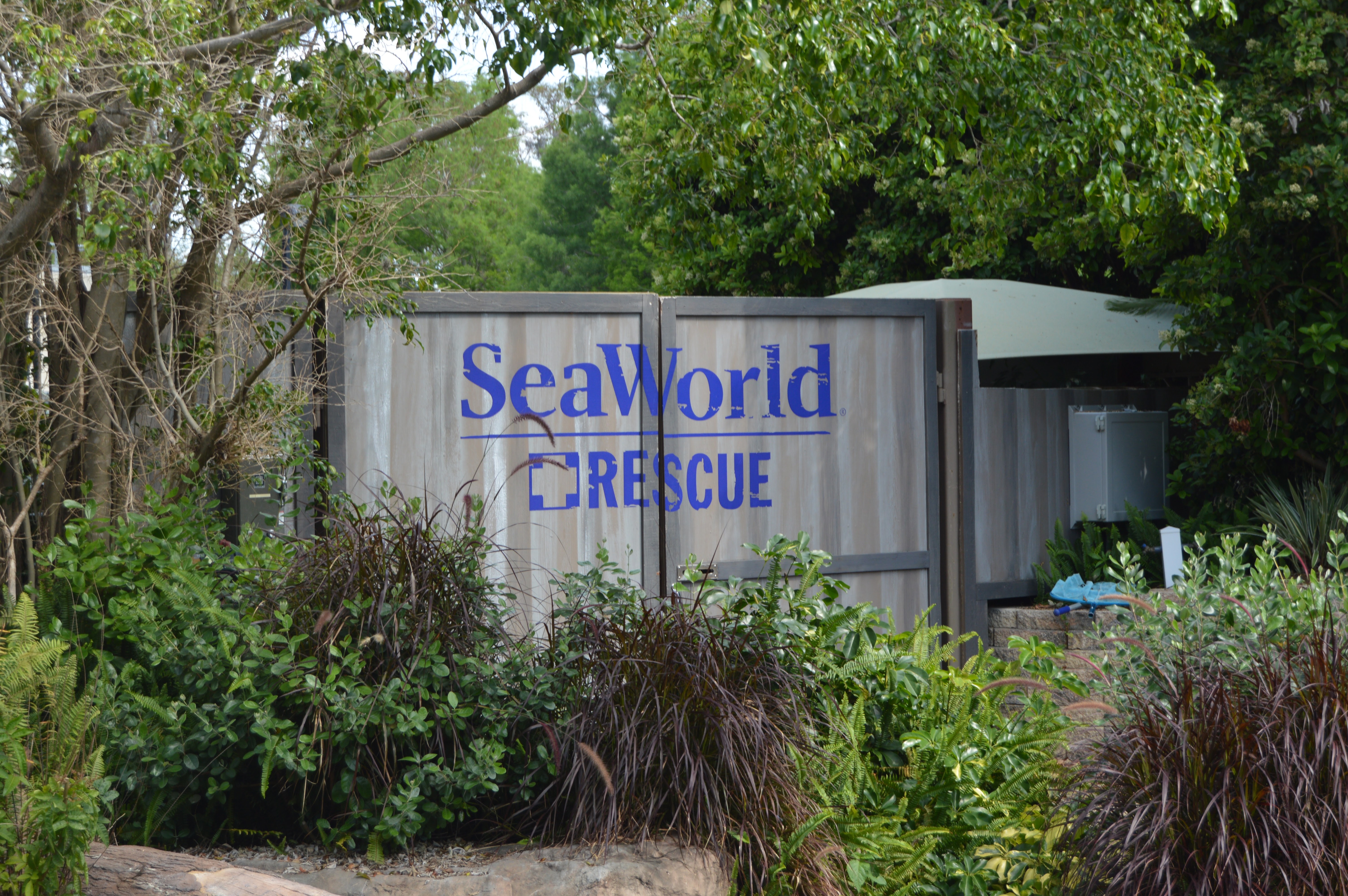 SeaWorld Rescue Centre