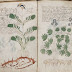 El misterioso 'manuscrito de Voynich' podría ser un antiguo libro de los aztecas  