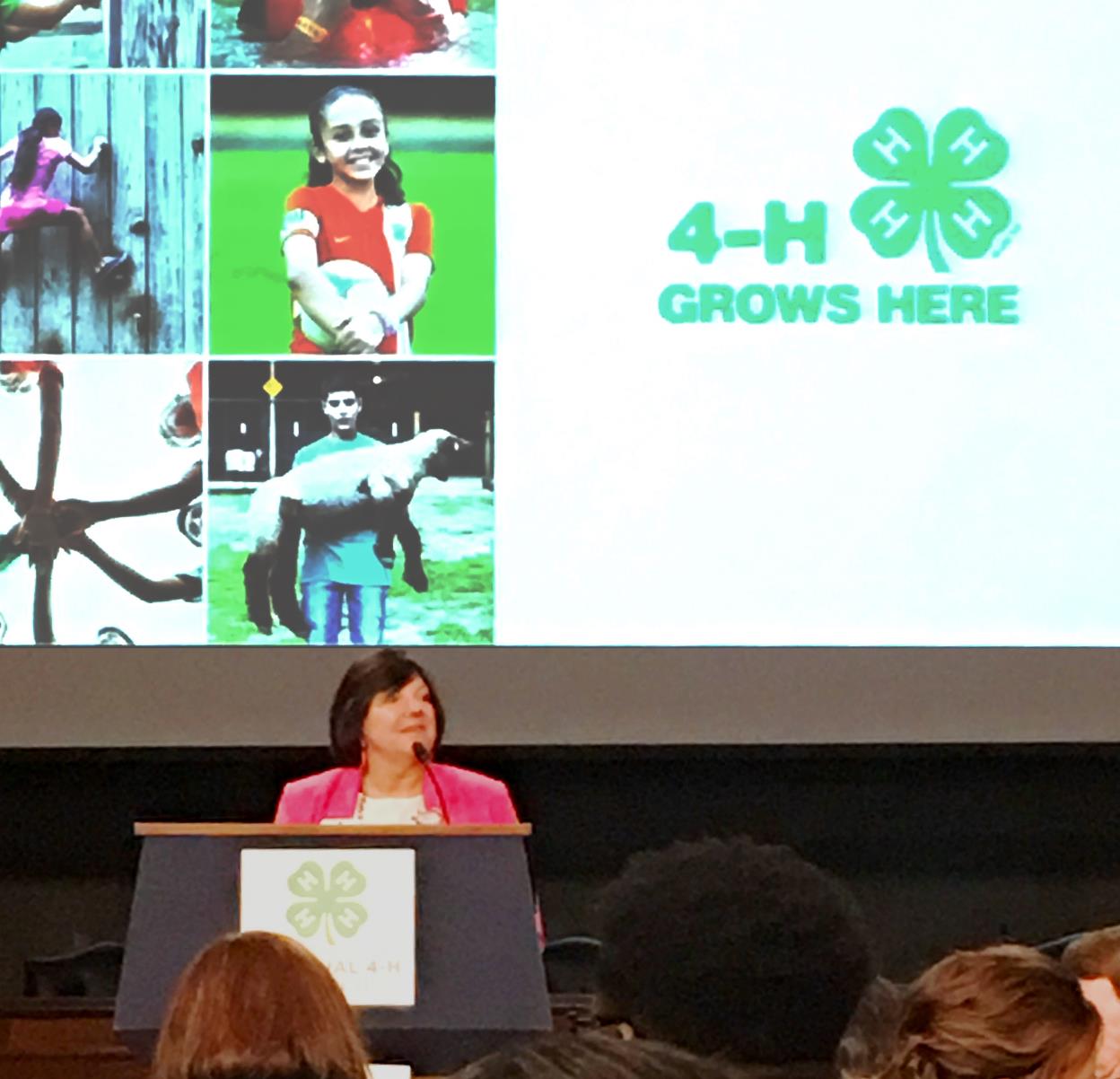 4 h grows here