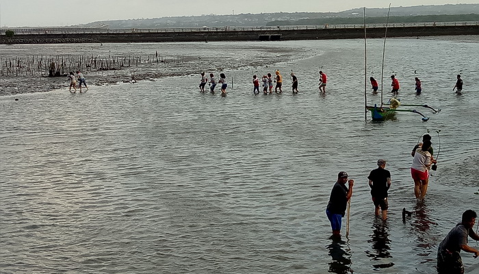 Tanam 200 Mangrove Semarakkan Dua Tahun Park23 Mall Kuta