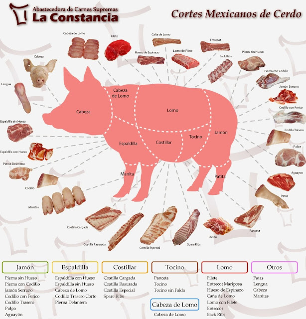 cerdo, chancho, español, méxico, traducción