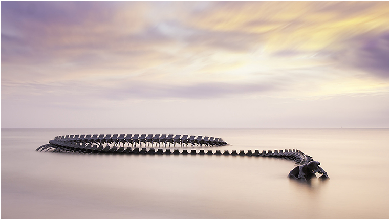 Emerging Photographers, Best Photo of the Day in Emphoka by Fabrice Fabrice Emerging Photographers, Best Photo of the Day in Emphoka by Fabrice Fabrice