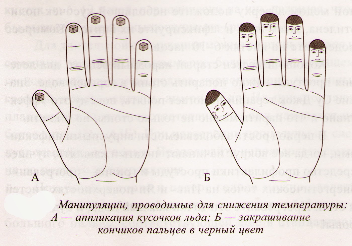Су джок терапия снижение температуры. Акупунктурные точки для снижения температуры. Му джок точки от температуры. Бальзам звездочка точки от кашля. Точечный массаж ступней схема.