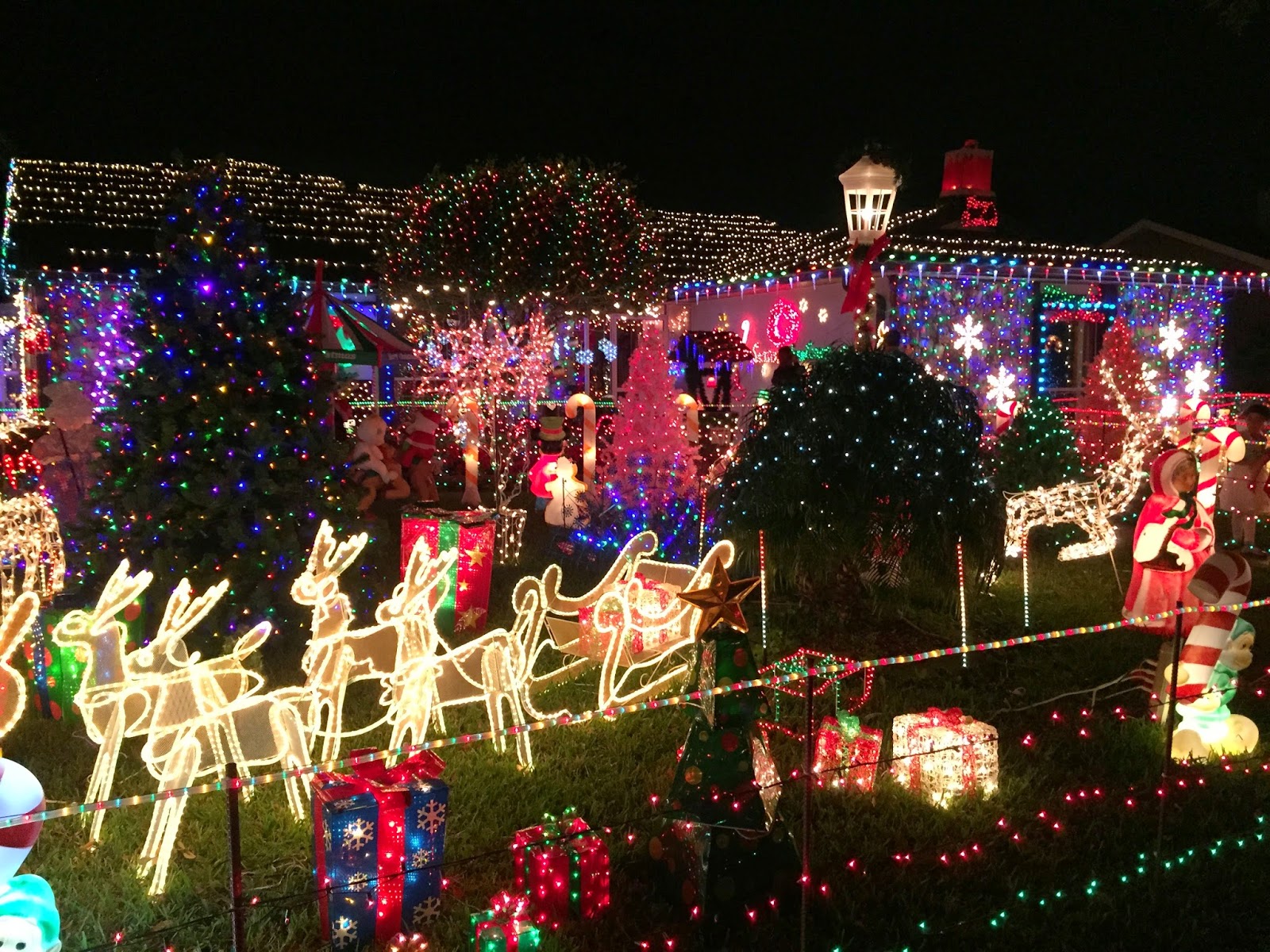 Flavorful Excursions: Where to See Awesome Christmas Lights