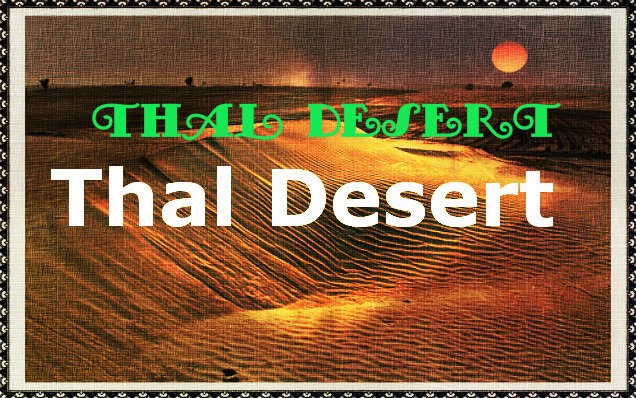 Spreebird: Thal desert