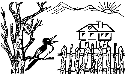 Сврака