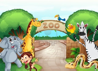   zoo+, zooplus usa, zoofast, bitiba, petplanet, zooplus reviews, fressnapf, zooplus coupon 2017, medicanimal
