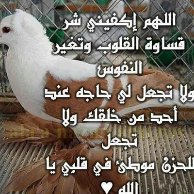 صور عن الهم والضيق