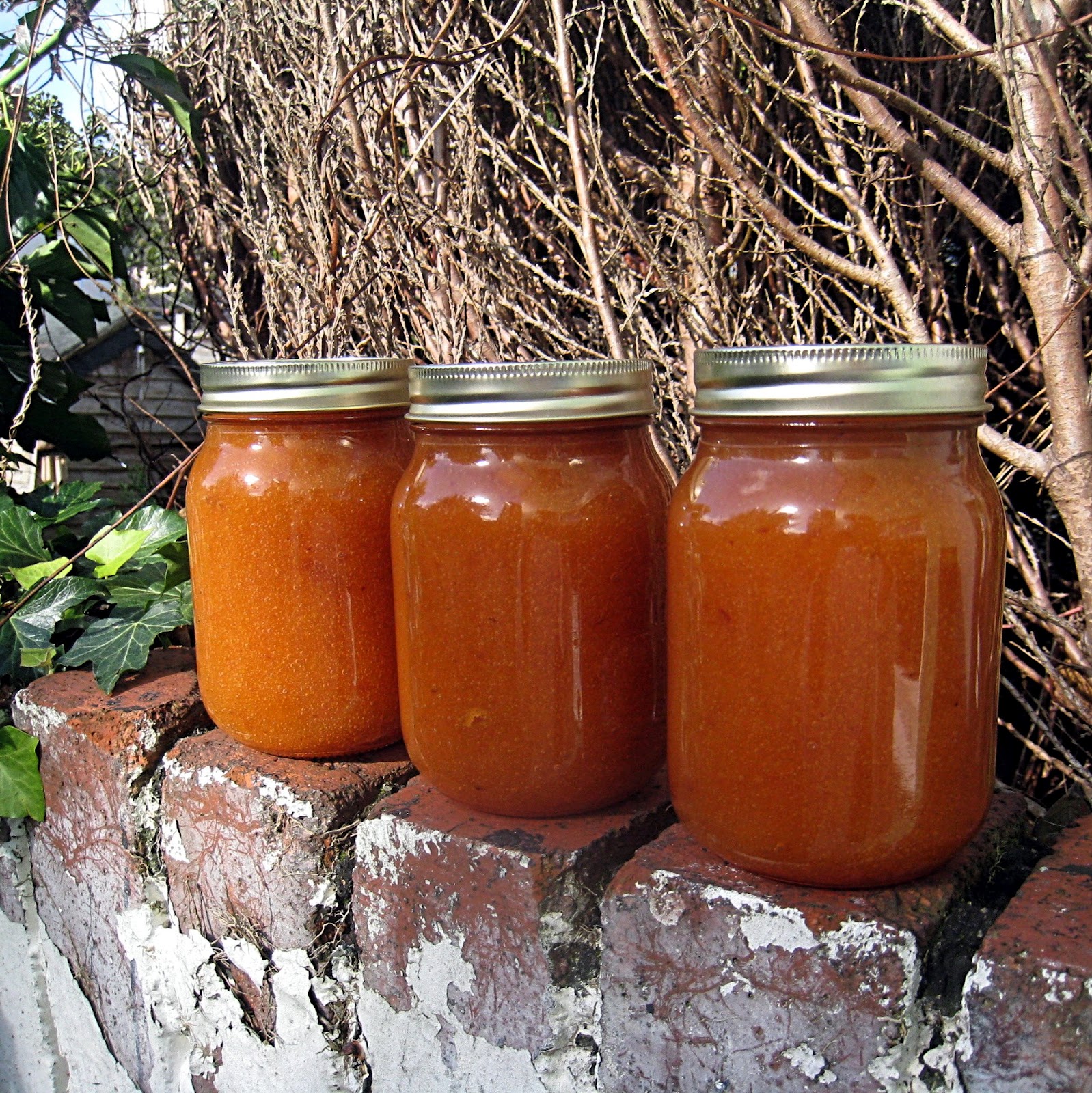 Delicious Delicious Delicious Nectarine Butter