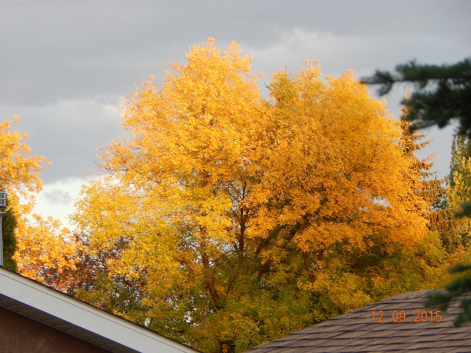 Hiawatha House TO HIAWATHA HOUSE