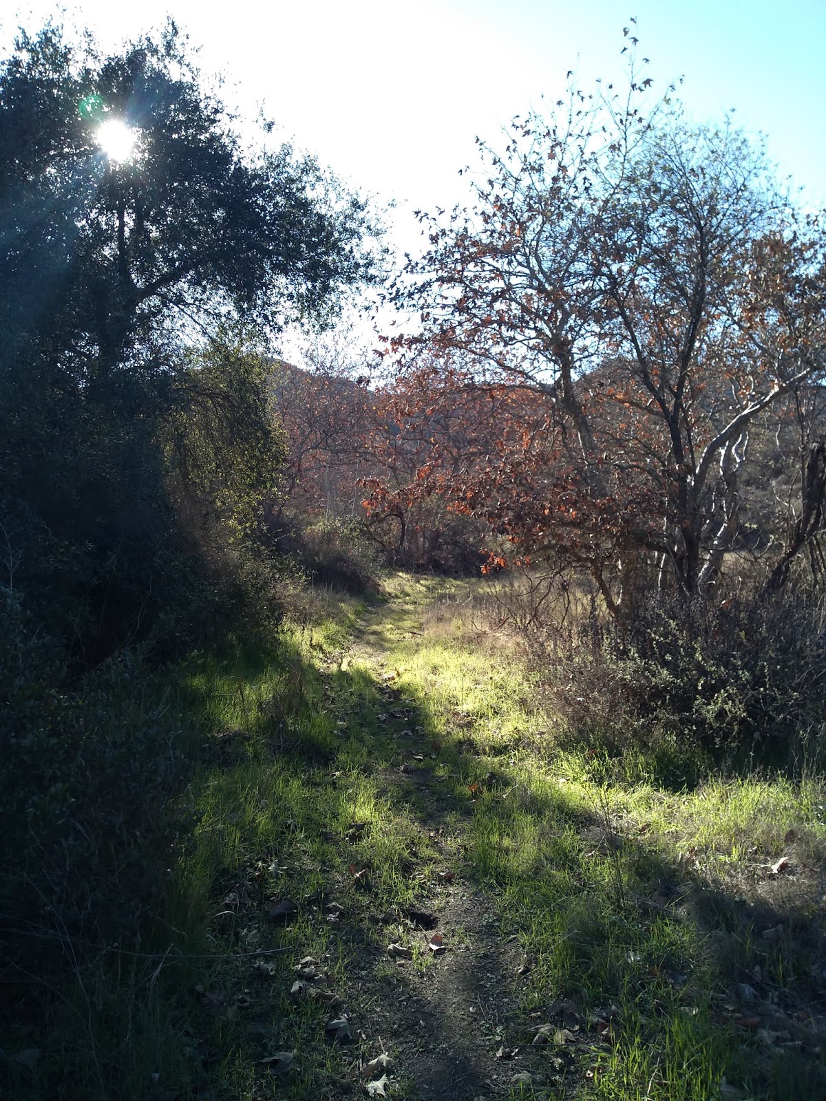 Source and Summit Hikes De Luz Canyon