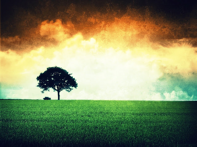 Independence day Images HD