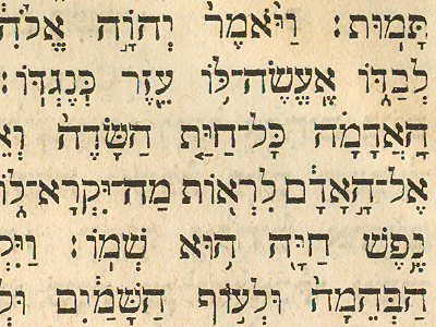 domba2domba: Apakah Bahasa Asal Alkitab?