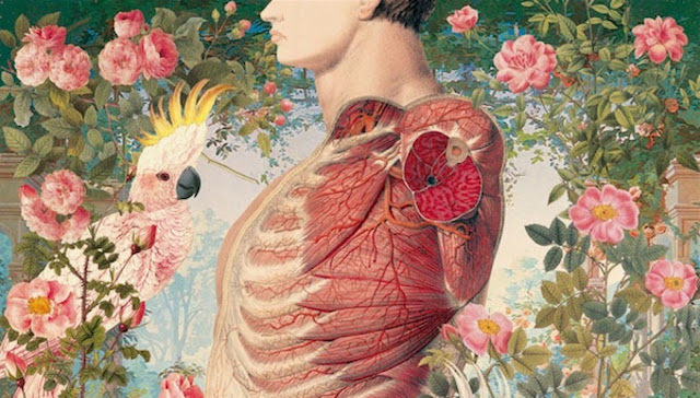 Booktag: Cuerpo humano