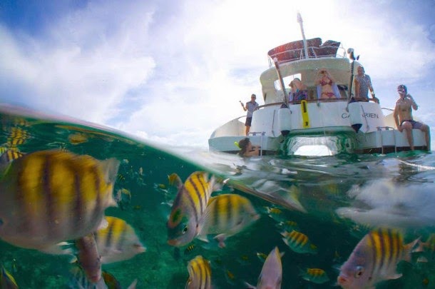 http://www.coupsdecoeurpourlemonde.com/2014/10/poissons-tropicaux-et-plage-deserte-a-cayo-ensenachos/