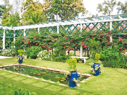 El jardín en la época de frío necesita de ciertos cuidados | Belleza