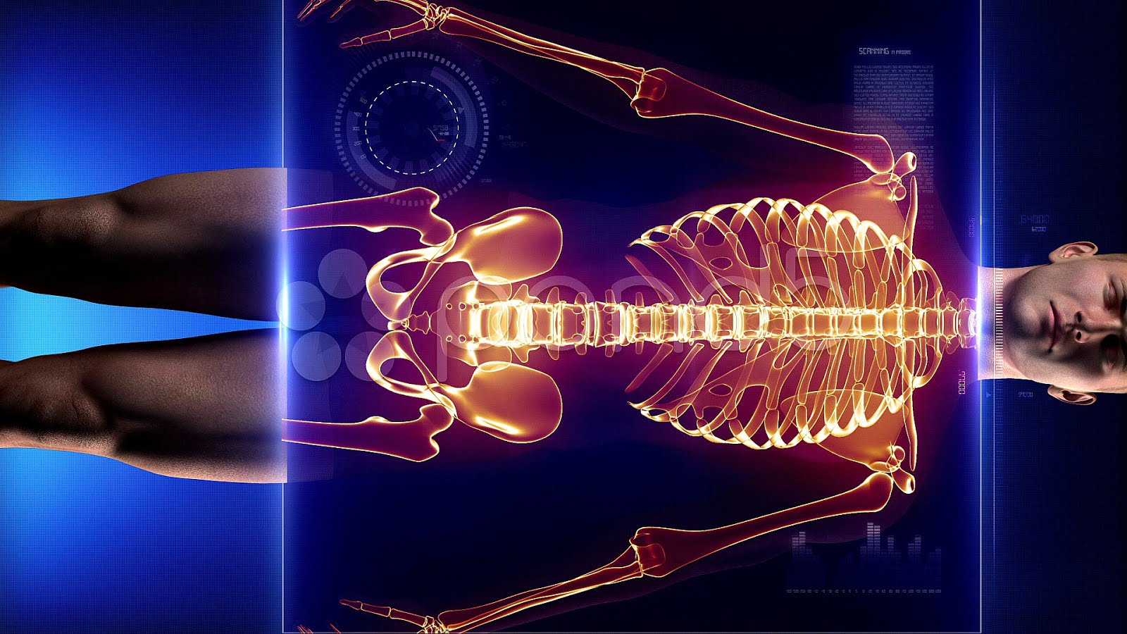 Fullbody CT scan Body Choices