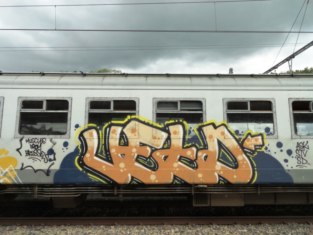 MUSCLES FROM BRUSSELS Art on Train