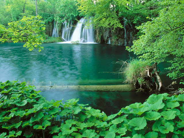 http://4.bp.blogspot.com/-bWGh7e9XTFo/ThyXg2OWCJI/AAAAAAAAASA/zkhQ5QtFpB4/s1600/nature-scenes-wallpaper.jpg